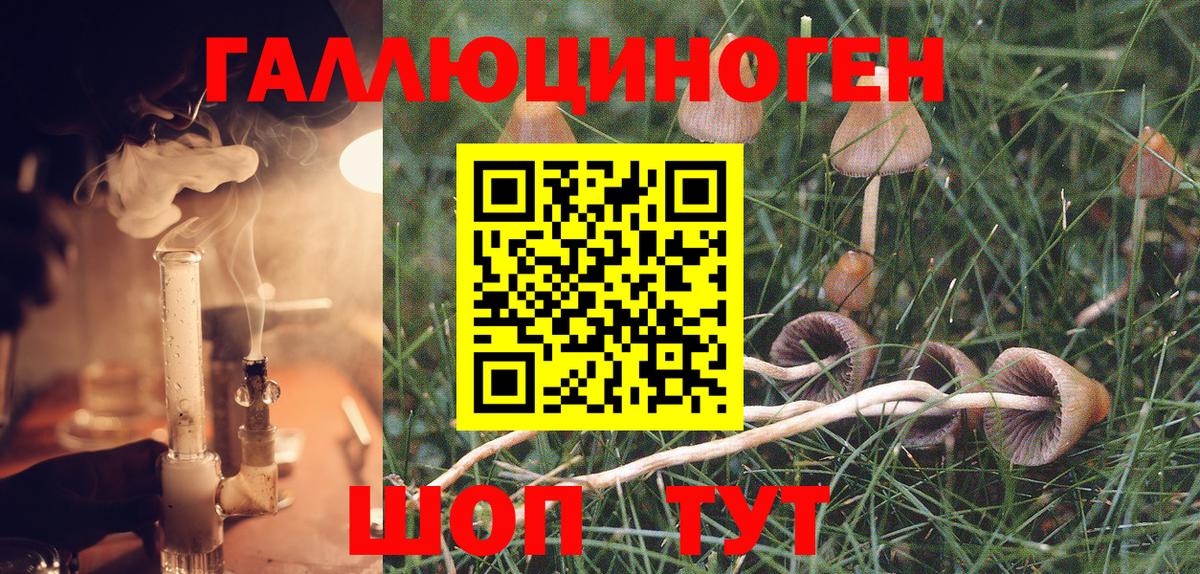 Псилоцибиновые грибы MAGIC MUSHROOMS Егорьевск