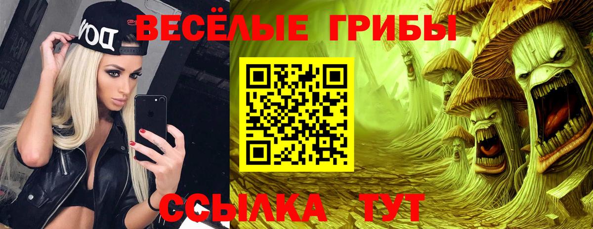 Псилоцибиновые грибы прущие грибы  Вход с VPN  Егорьевск  Галлюциногенные грибы Psilocybine cubensis 